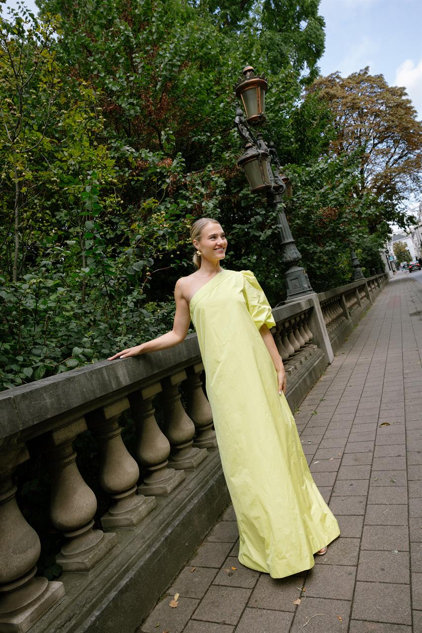 Molly Lime Taffeta (1)